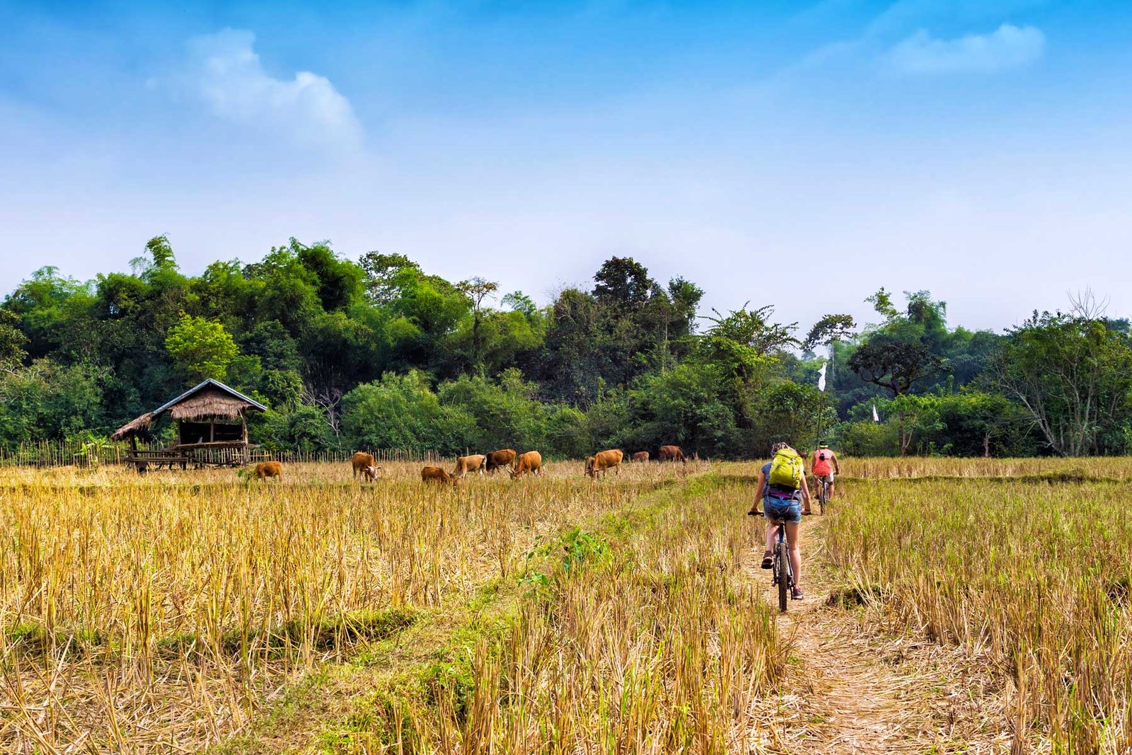 Myanmar Biking To The New Frontier 13 Days